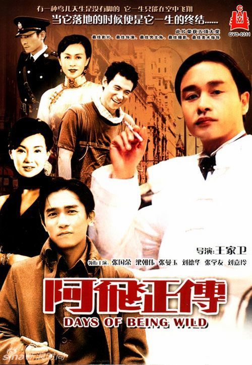 爱荷华大学文凭毕业证样本照片